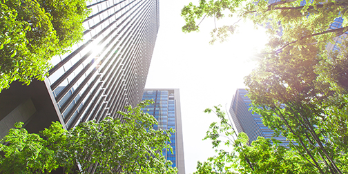 Business Sustainability