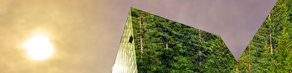 Environnement